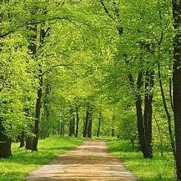 Lucy Meadows Lucy Meadows