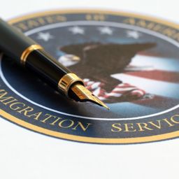 Multi Services Multi Services