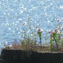 Vocation Destination Vocation Destination