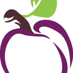 Plum Coaching & Consulting