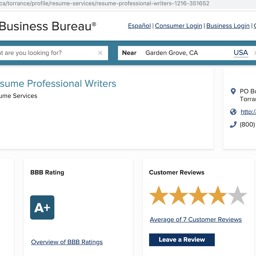 Resume Professional Writers