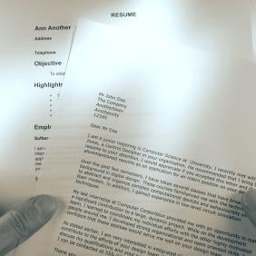 Resume Performance Mesa