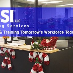 VSSI LLC, Staffing Services