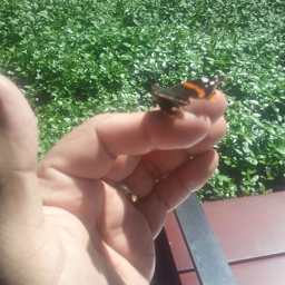 A Better Resume Service A Better Resume Service