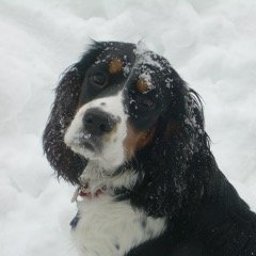 Michael J Willis & Associates