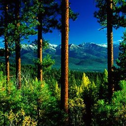 Gildemeister Photography & Design