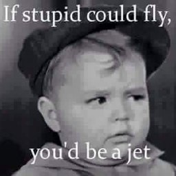 The Resume Genies The Resume Genies