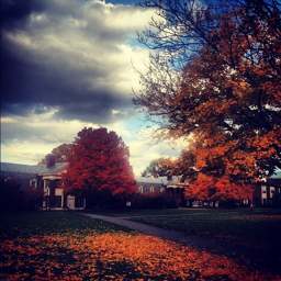 Carney Sandoe & Associates Carney Sandoe & Associates